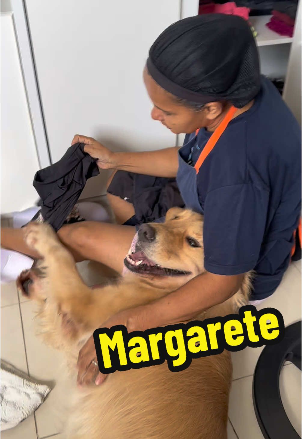 Todo dia uma luta de Margarete diferente 😂 #fy #fyp #foryou #cachorros #dogs #cachorrosengraçados #goldenretriever 