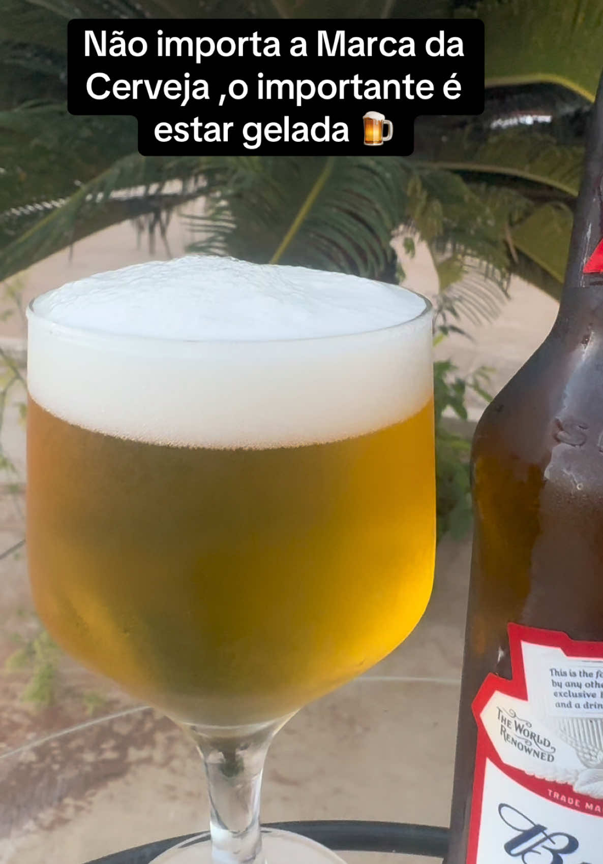 Não importa a marca da Cerveja o importante é estar gelada🍺 #sextou #sabado #vaiprofy #vaiprofycaramba #vaiprafy #status #statusvideo #story #stories #nostalgia #tipografia #musica #sertanejo #agro #roca #fazenda #cerveja #budweiser #bora #boratomaruma #cachaca #cachaceiro #cachaceira #cachaceiraraiz #chama  @Tereza Cristina 