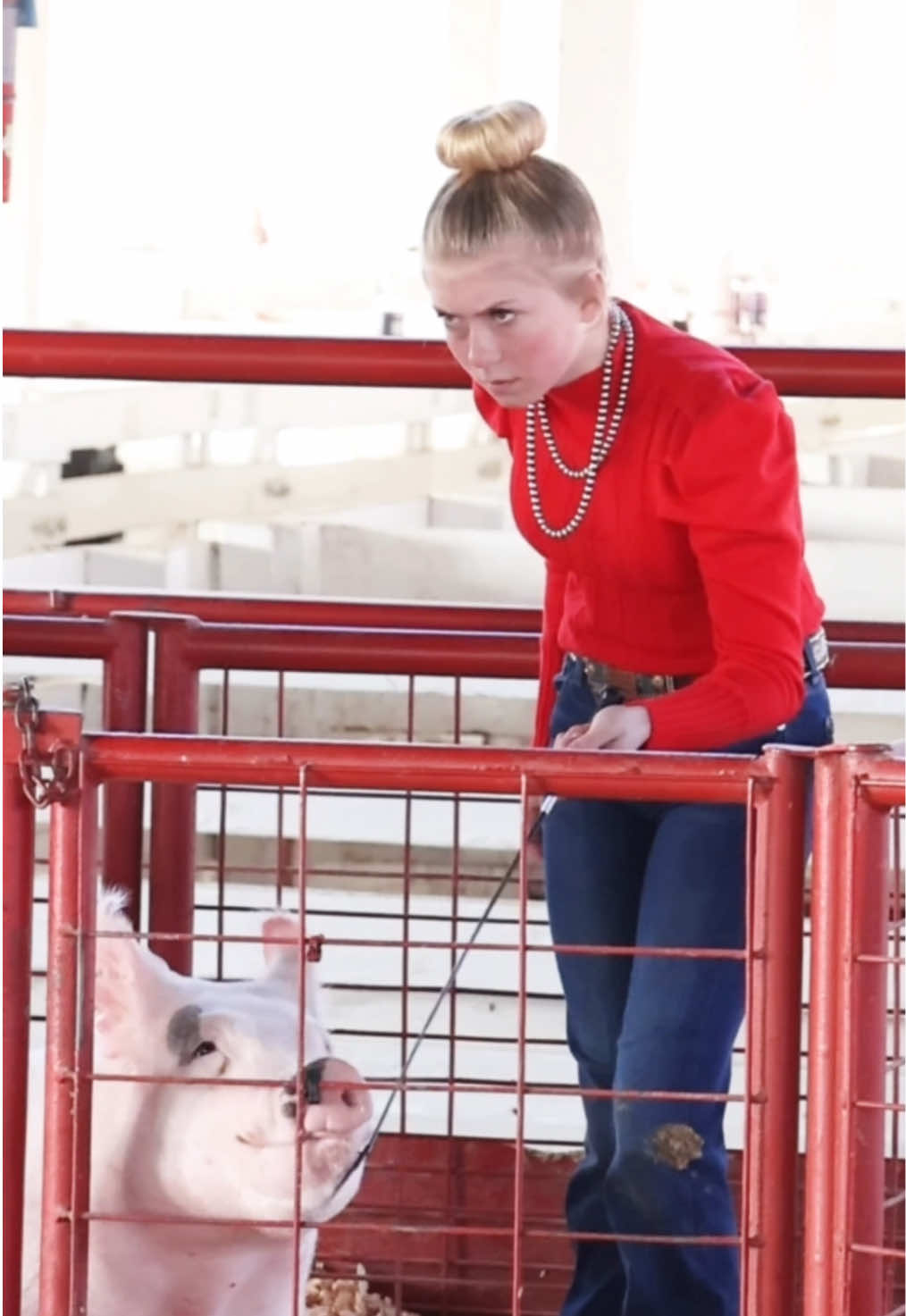 Karis showing sheep and showpigs at Holiday Classic livestock show! #showpigs #sheep 