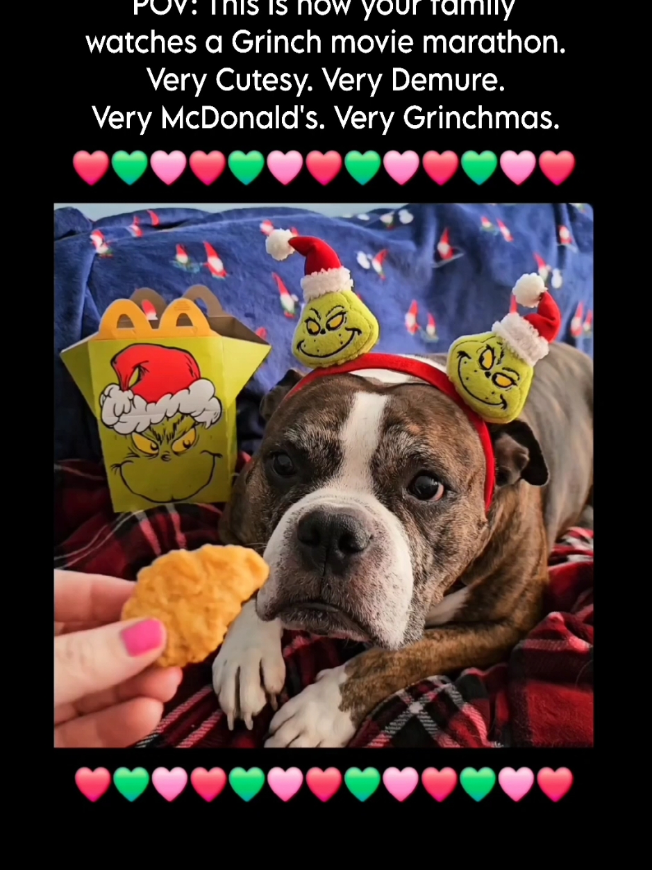 Merry Grinchmas!!! ❤️💚🩷 #merrychristmas #merrygrinchmas #christmas #grinchmas #thegrinch #thegrinchtiktoks #grinch #thegrinchwhostolechristmas #grinchmovie #movie #marathon #movienight #moviemarathon #bulldog #bulldogsoftiktok #labradorretriever #labsoftiktok #Holidays #happyholidays #mcdonalds #chickennuggets #cookies #grinchcookies #mcdonaldsgrinch #happymeal #demure #cutesy #puppylife #relatable #cutedogvideos #christmastiktok #canadiantiktok 