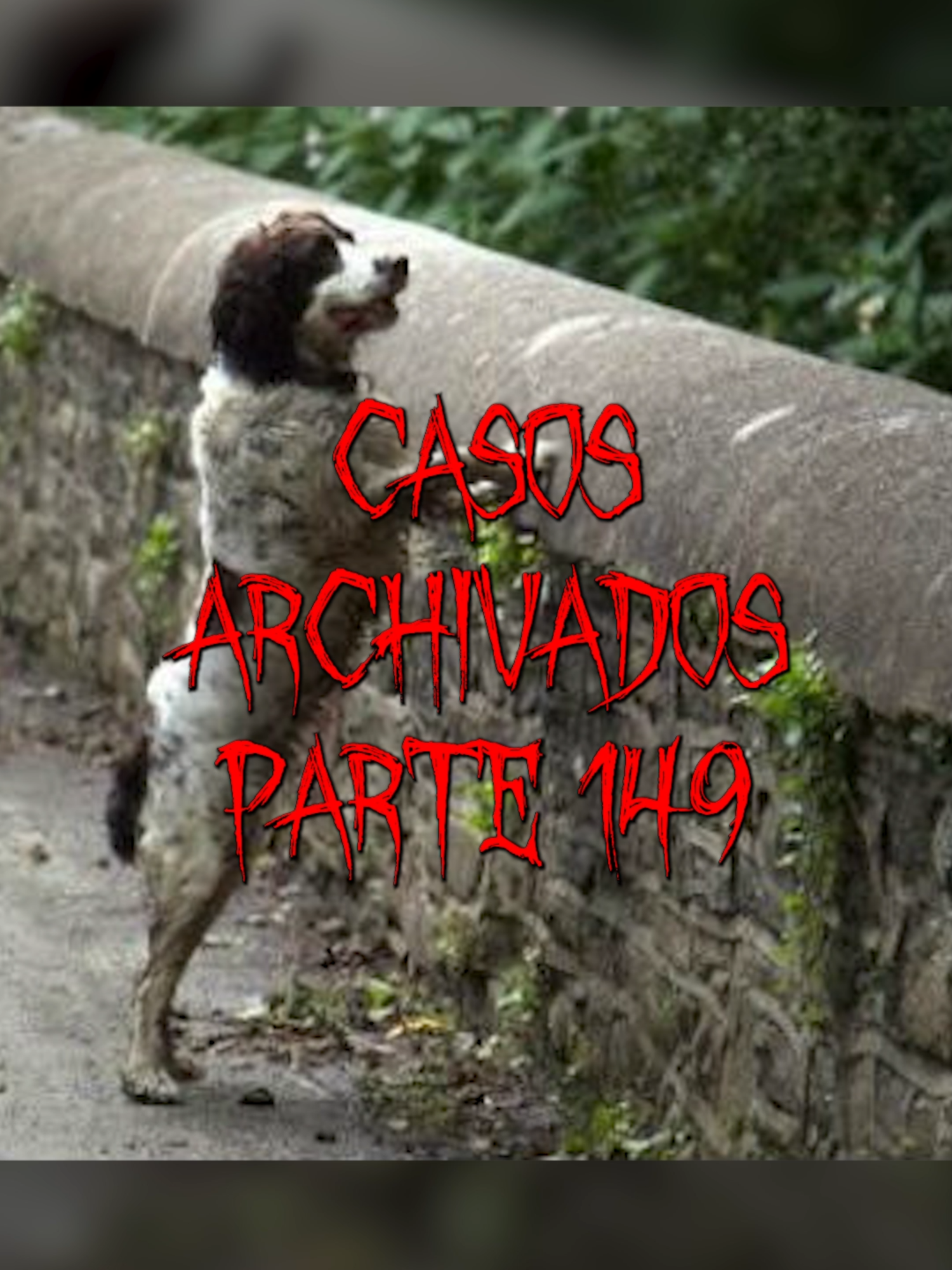 Puente Overtoun, Escocia 💀 donde los perros saltan explicación #puntomuerto #historiasdeterror #casosarchivados #casosdemisterio #misteriossinresolver #casossinresolver #puenteovertoun #puentedelosperros #puenteenescocia