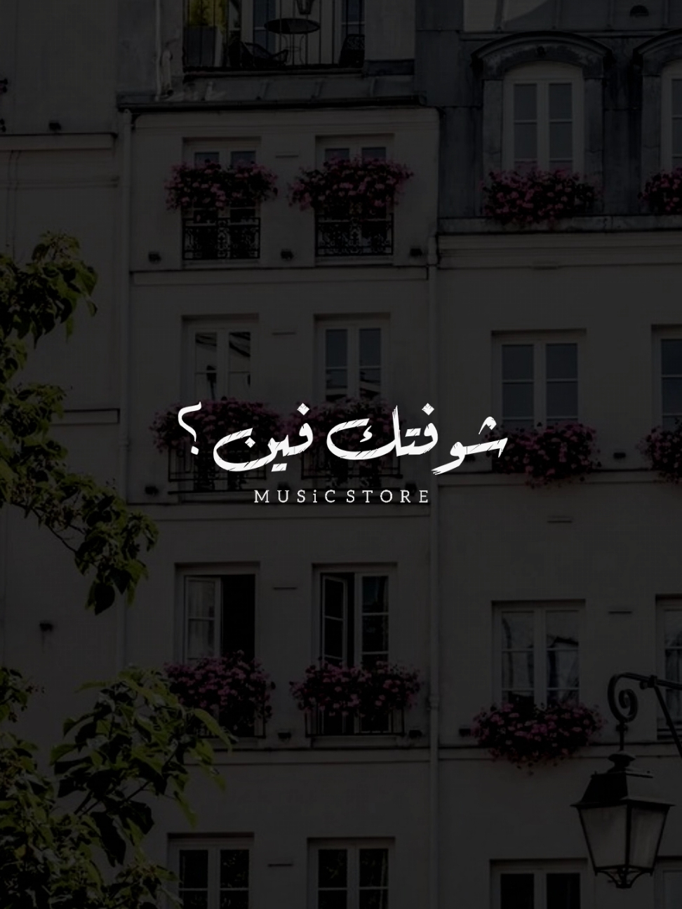 قابلتك امتى شوفتك فين؟! ❤              ..             #اخر_فرعون_ع_الارض  #foryoupage #foryou  #حالات_واتس #رومانسي  #مش_هنظبط_الريتش_بقي🖤  #الفرعون_يوسف_المنياوي #fyp 