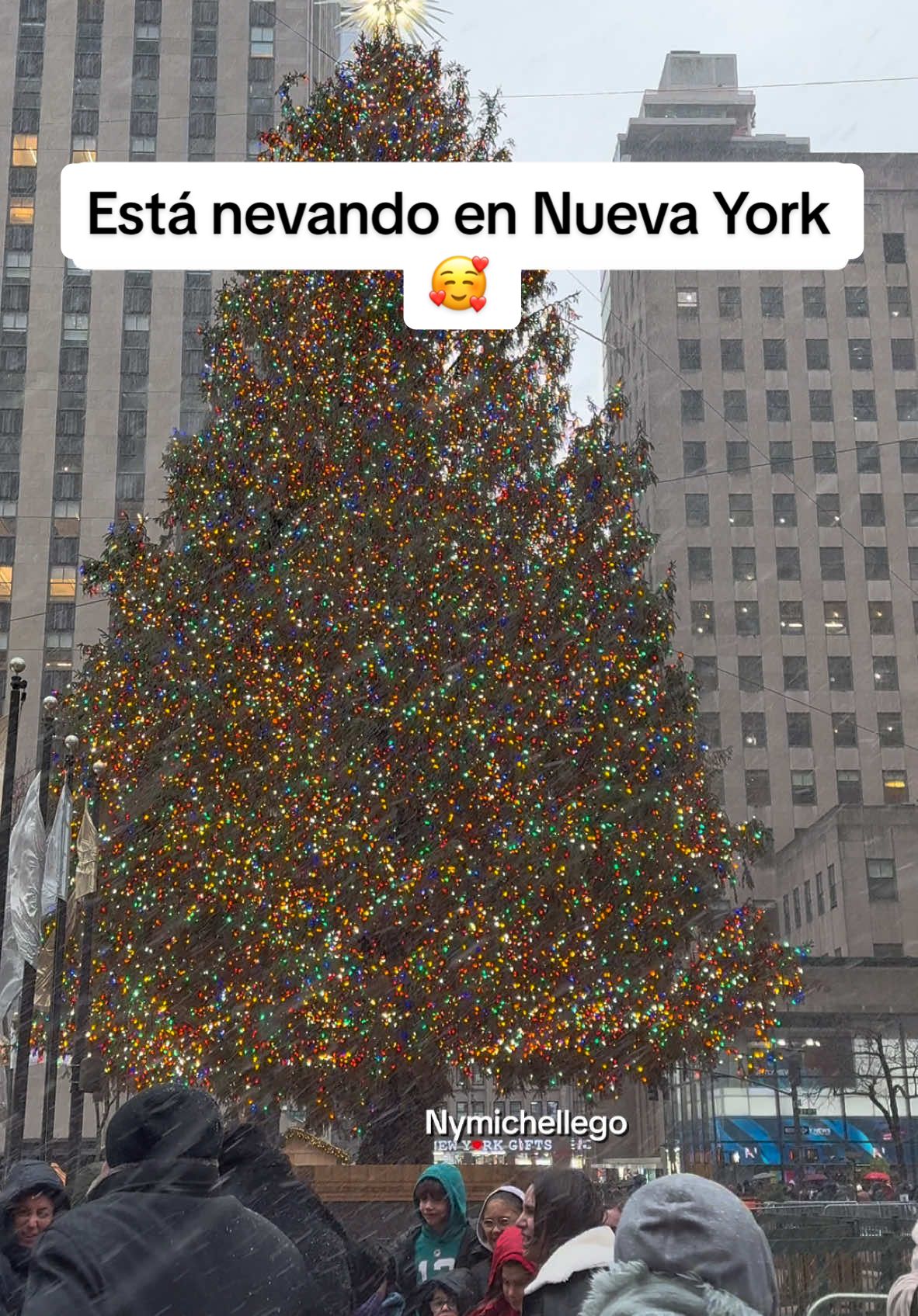 Hermoso momento 🥰🥰 #nuevayork #newyork #christmas #manhattan #snow #snowing 