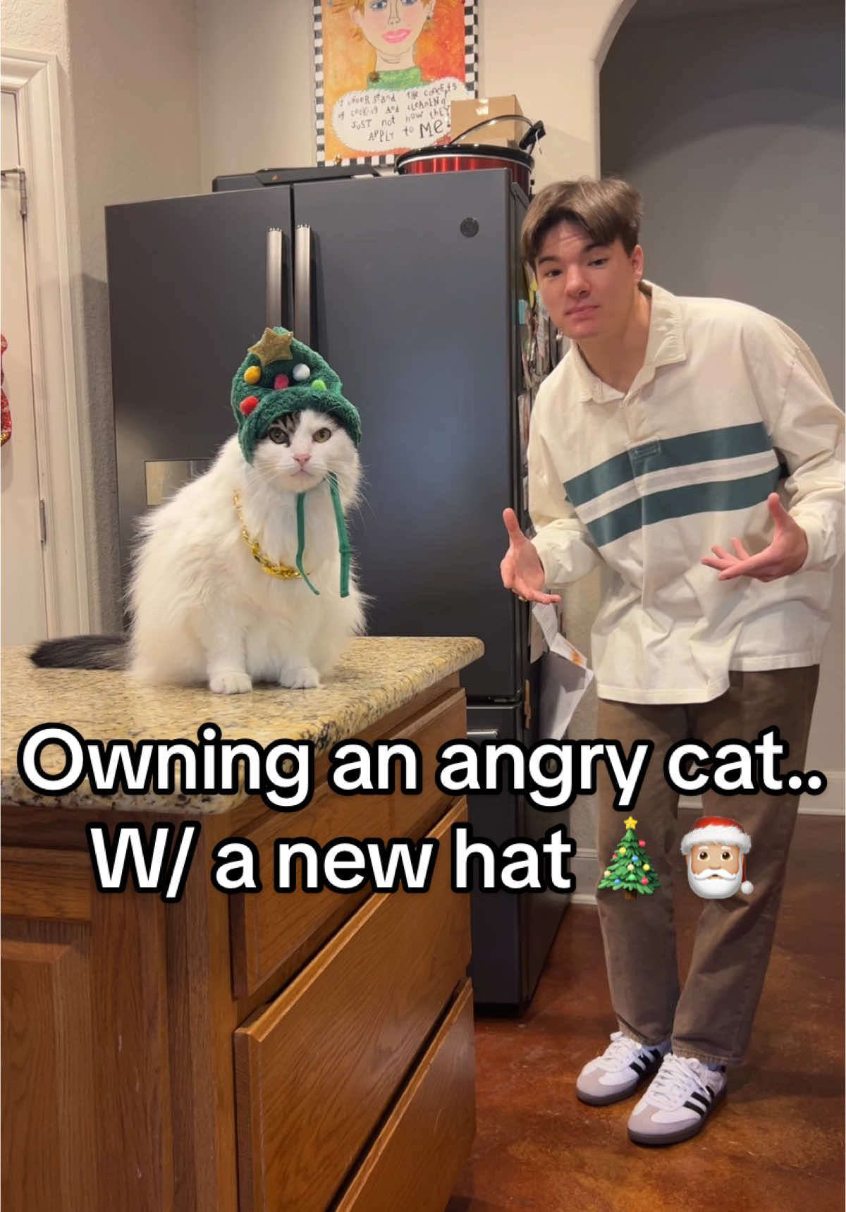 Owning an angry cat w/ a new hat 🎄🎅🏼 #sirpounce #fyp #foryou #foryoupage #xyzcba #xyzbca #cats #catsoftiktok