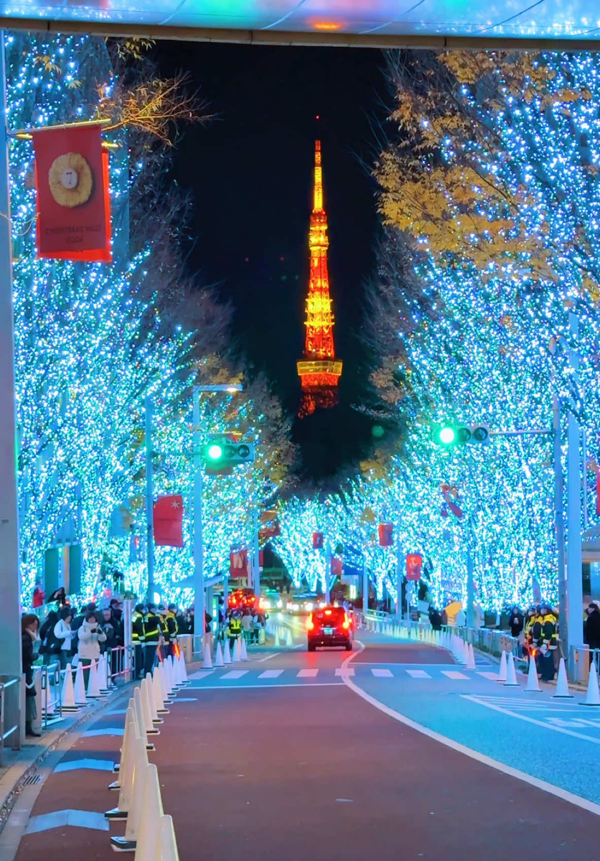 Roppongi(Tokyo) / 六本木🇯🇵 📸 iPhone16 ProMax