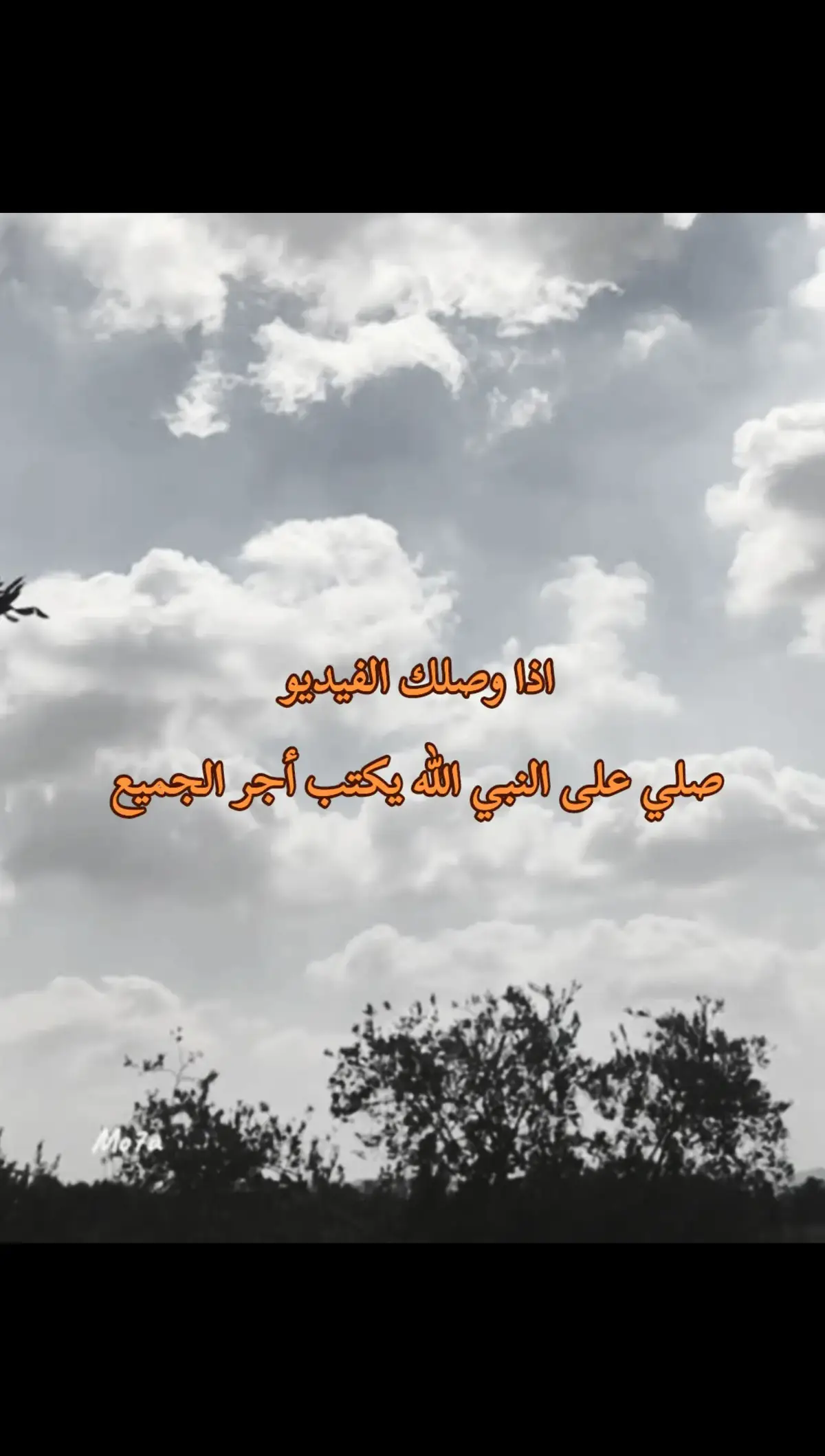 #قران_صلي_علي_النبي 