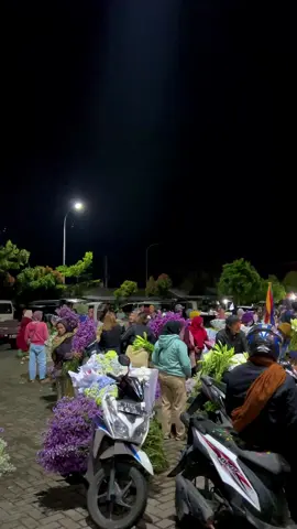 pasar bunga bandungan #bandungan #bandungansemarang #pasarbunga #pasarkembang #bunga #jualbunga #mentahan #mentahanvideo #fup #fyp #fypシ゚viral 