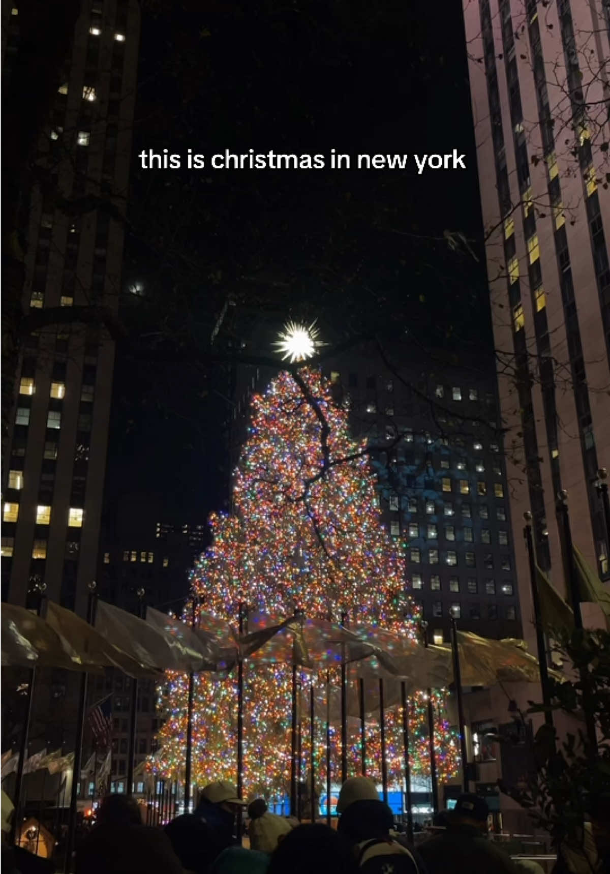 Only 5 more days till Christmas!!! 🎄🗽#fyp #foryou #foryoupage #christmasinnewyork #nycchristmas #christmas #christmaseve #merrychristmas #happyholidays #radiocityrockettes #rockefellercenter #fifthavenue #nyctravel #nycinfluencer #nyclife #nyctiktok #newyork #newyorkcity 