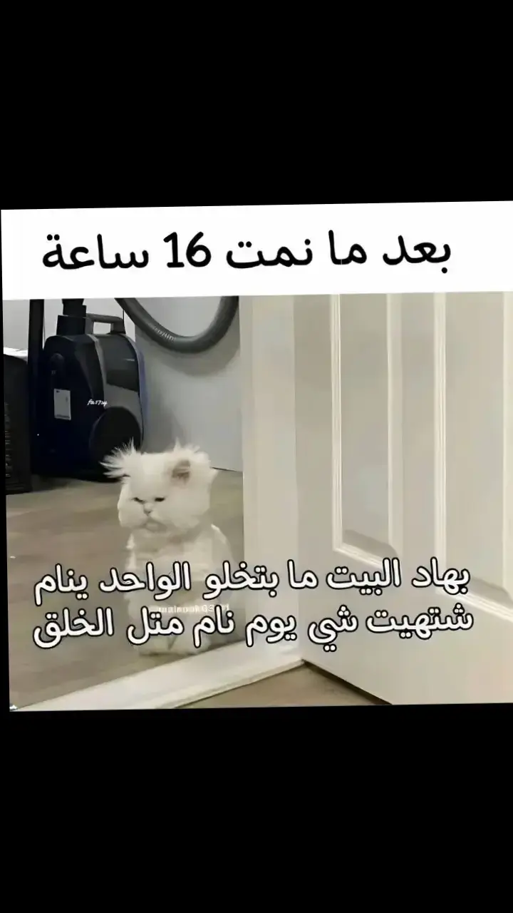 🙂💔