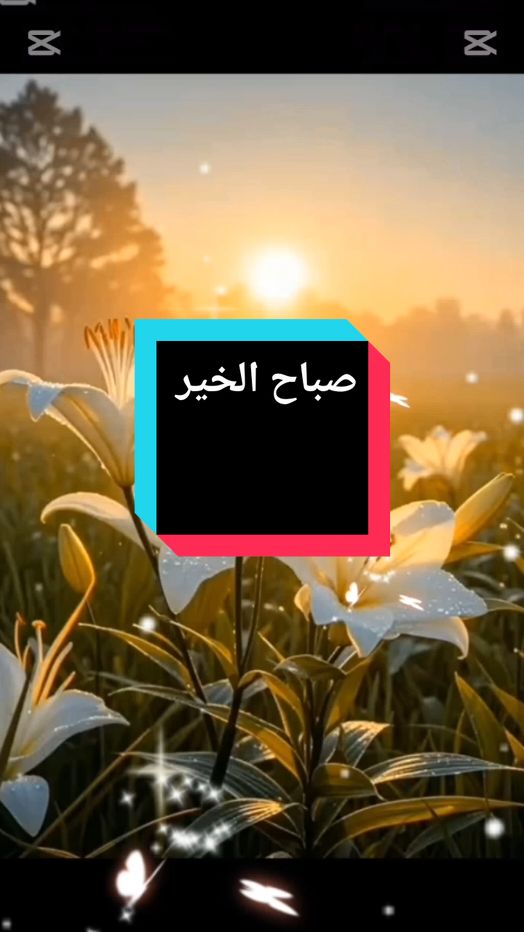 صباح الخير والخير  #صباح_الخير #دعاء #صباحكم_سعادة_لاتنتهي #صباح #صباحكم_أحلى_صباح #صباحكم_معطر_بذكر_الله #صباحيات #صباحكم #صباحو #صباحكم_سعادهـ🌸🍃 #كلام_جميل  #CapCut 