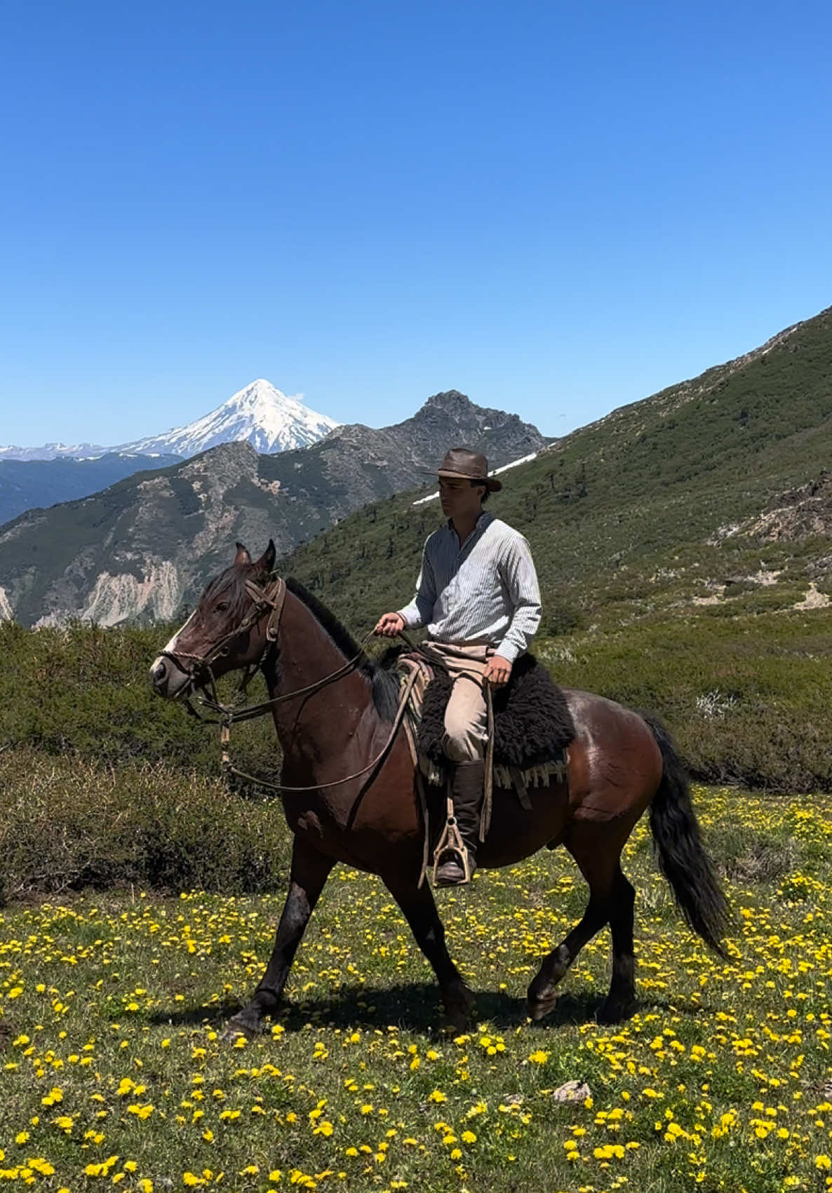 Damelo siempre! 🤠🐎🏔️🐴😍 #caballo #cabalgata #patagonia 