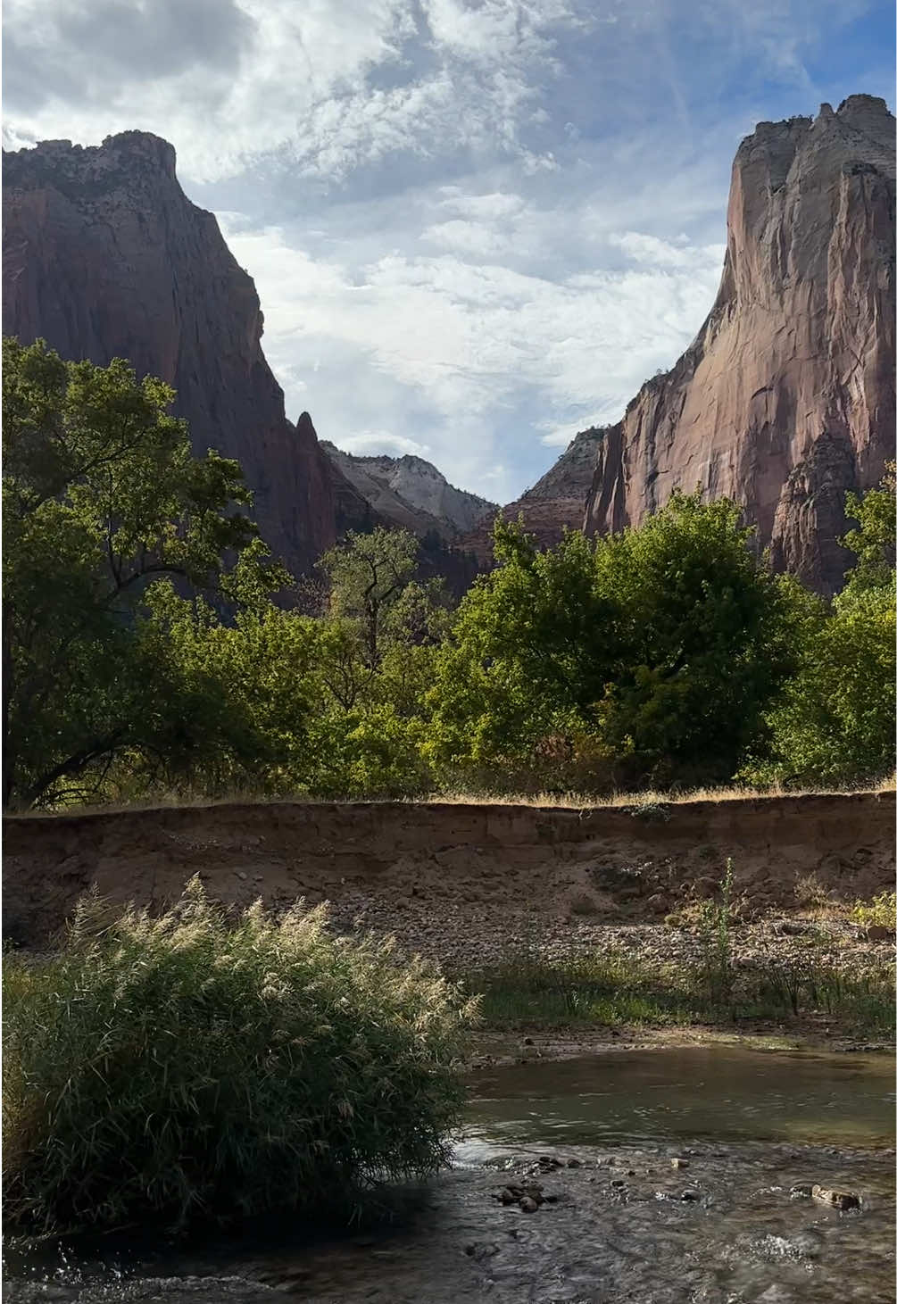 Be-Utah-ful! #utah #usa #zion #nationalpark #bucketlist #destination #beautiful #canyon #familytrip #2024 #endlessjourney #livingmybestlife 