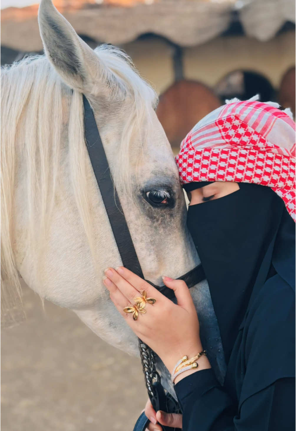 حبيت يابويا العرباوي 🐎🤍