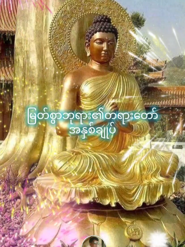 မြတ်စွာဘုရား၏ တရားတော်အနှစ်ချုပ်#တရားတော် #ဒေါက်တာအရှင်နန္ဒမာလာဘိဝံသ #တရားတော်များ #fypシ #foryoupage #tiktok 