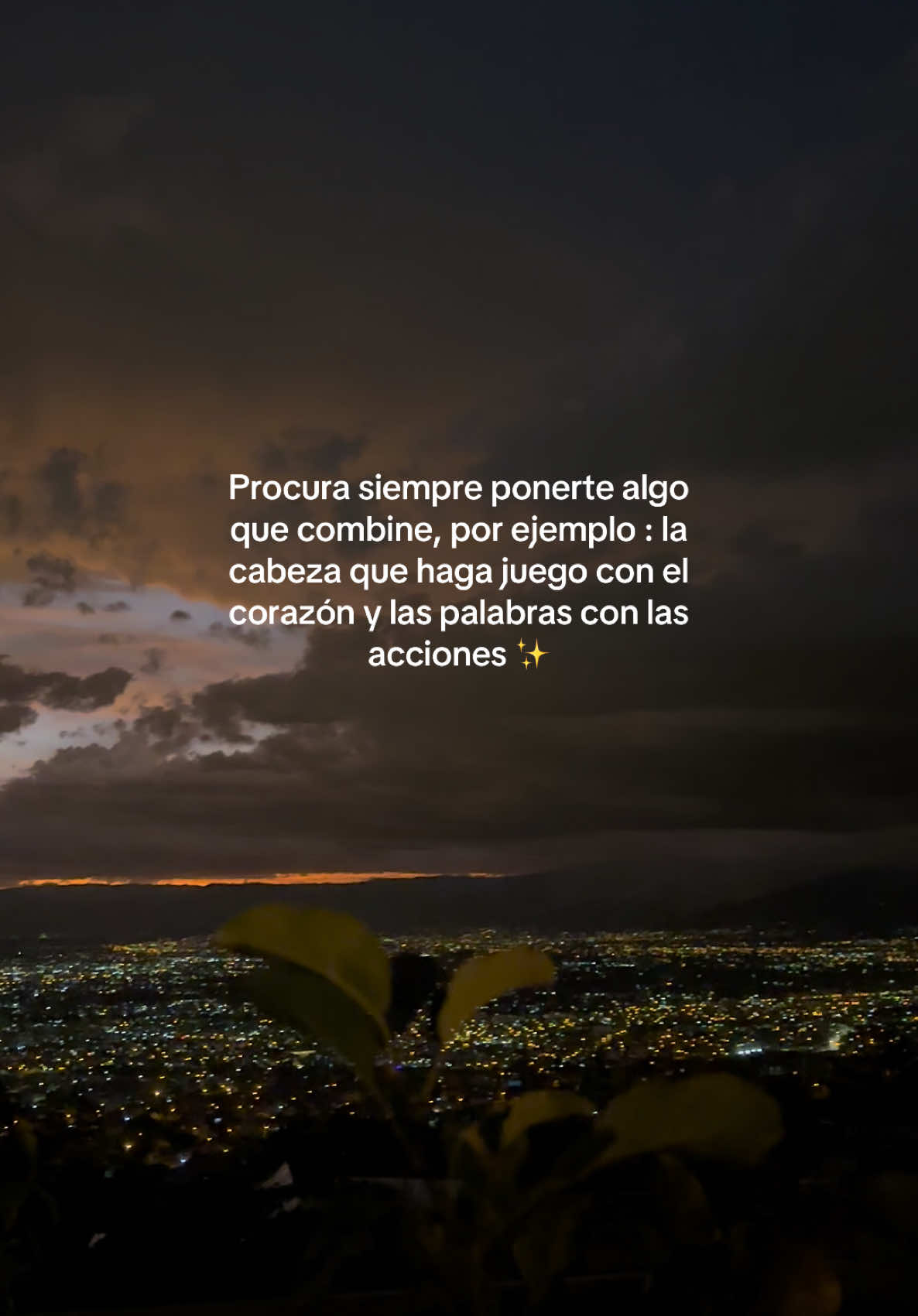 #palabras #acciones #amor #amorpropio #resilencia #frasesmotivadoras #frasesbonitas #paisajes #montañas #atardeceres 