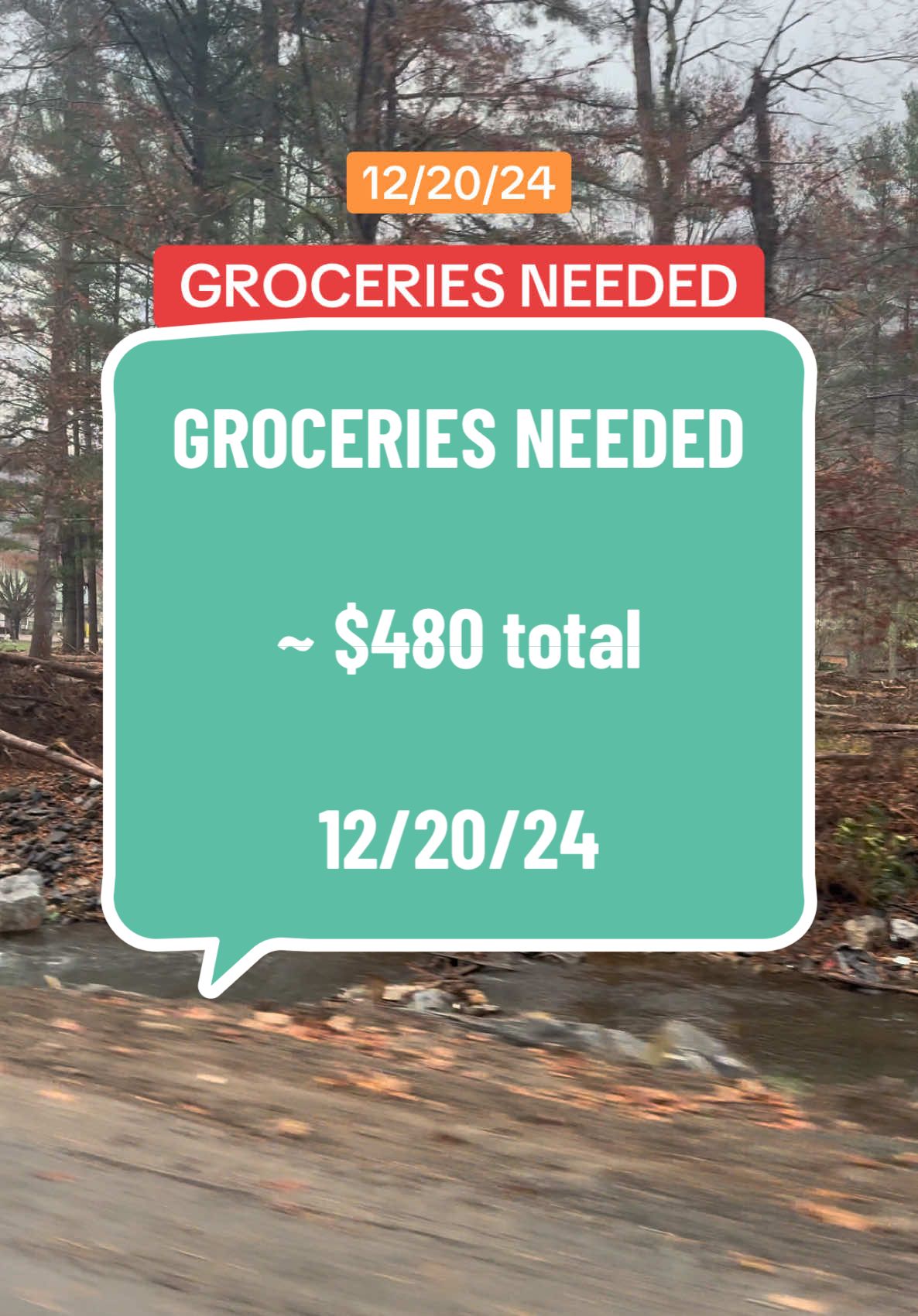 Groceries needed #christmas #christmastime #tistheseason #hurricanerelief #hurricanehelene 