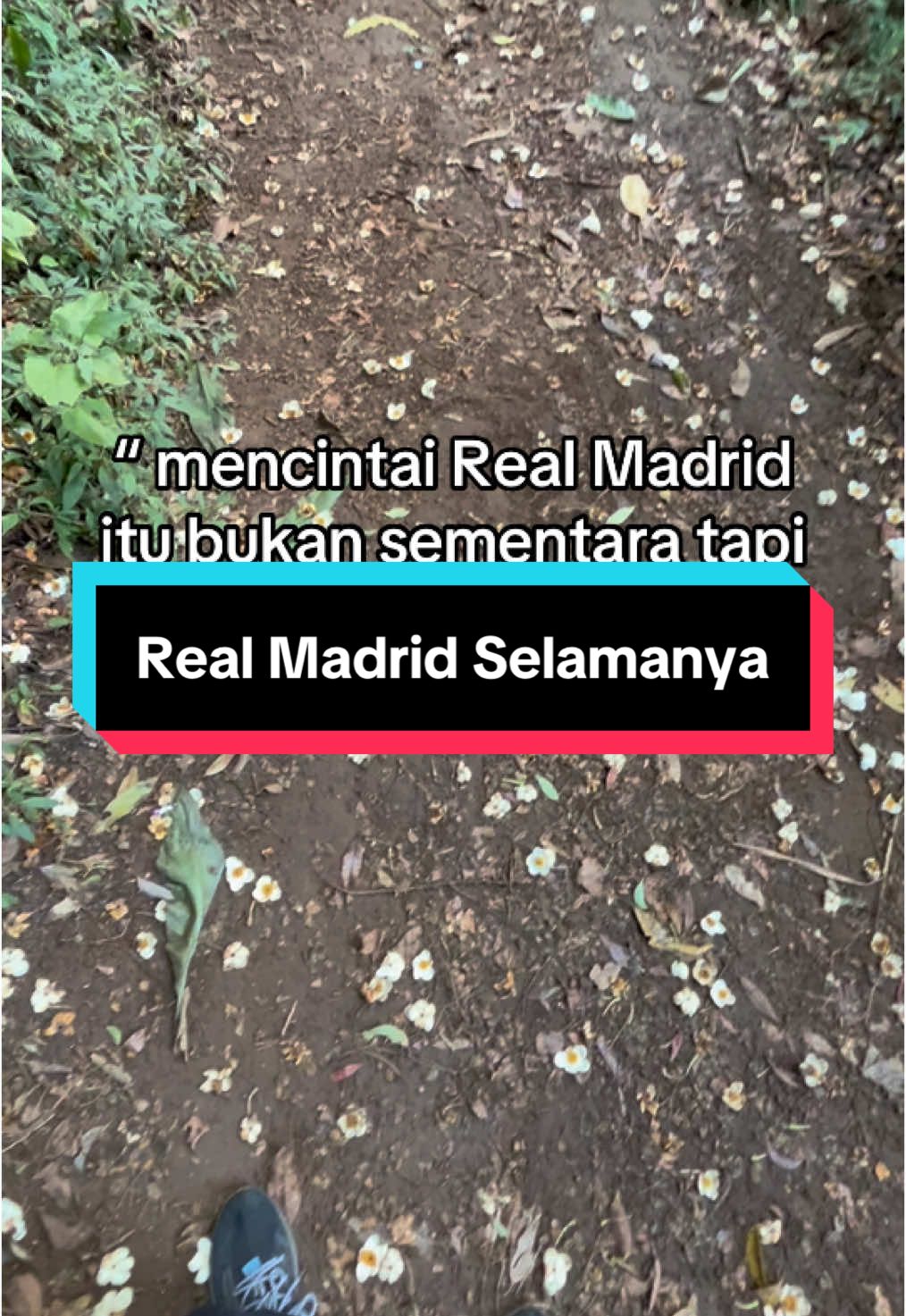 #footballtiktok #galaubrutal #realmadrid #madrid #madridista #halamadrid #madridistas #mbappe #vinicius #bellingham 