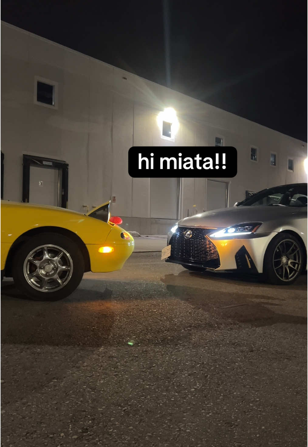 miata was spooked by this encounter 😨 #mazda #miata #mx5 #namiata #nbmiata #mx5miata #miatatok #miataclub #mazdaspeed #roadster #jdm #lexus #is350 #is250 #is300 #fsport #isf #toyota #cartok #fyp #foryou #yuh #sunburstyellow 