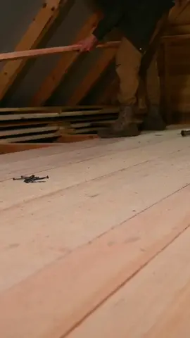 Building Sleeping Loft part 2 #build #bushcraft #fyp #outdoor #wildernesscrafters #shelter