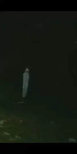 ☠️☠️☠️ #pocong#fypシ゚viral#setangkaibungamawardarimu 