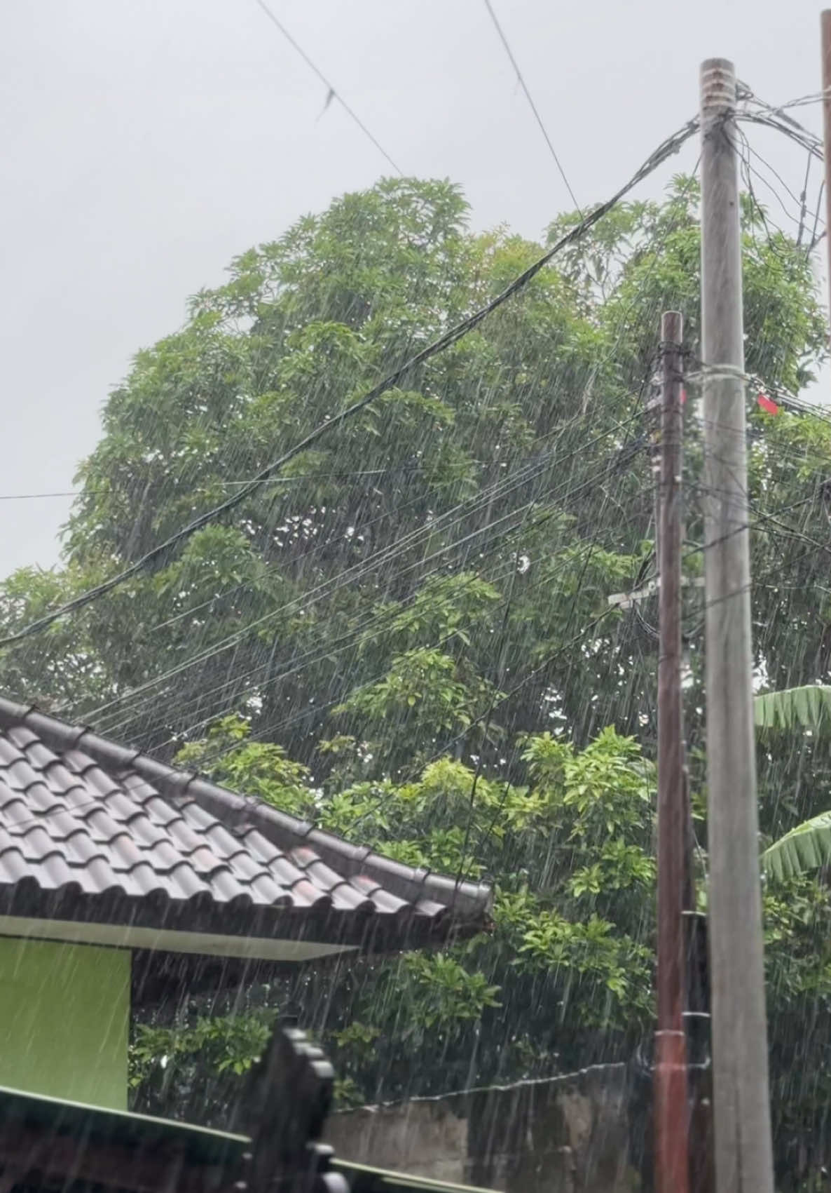 Aku rindu hujan yang pernah menahan kita pulang  #fyp #fypシ #fypbali #rain #morningrain #rainvibes #rainyday 