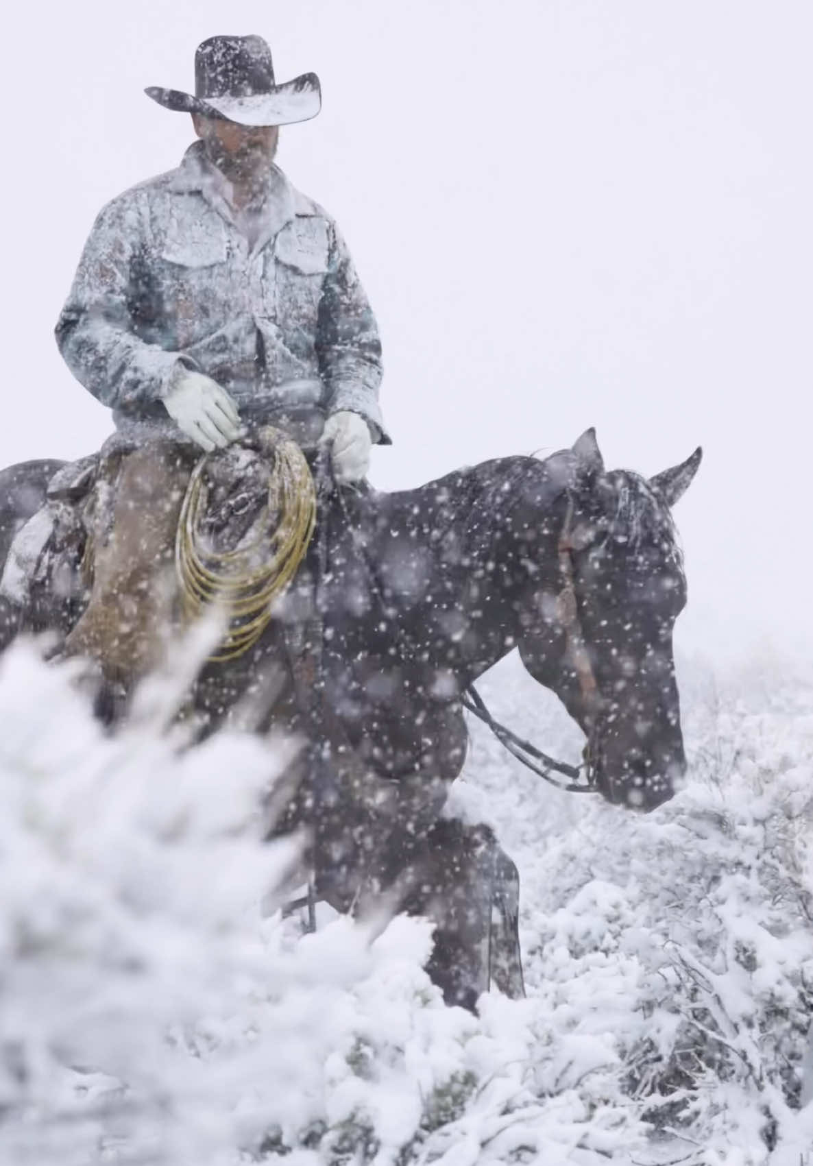 Sometimes the only choice you’ve got is to pull your hat down tight and ride through the storm. Storms don’t last but resilient people do. 