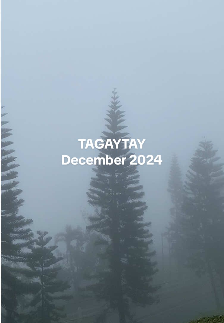 Foggy Wonderland | Tagaytay | Dec 2024 #tagaytay #tagaytayDec2024 #tagaytay2024 #tagaytaycity #tagaytayfeels #tagaytayfog #fog #foggy #foggytagaytay #nature #tiktoknature 