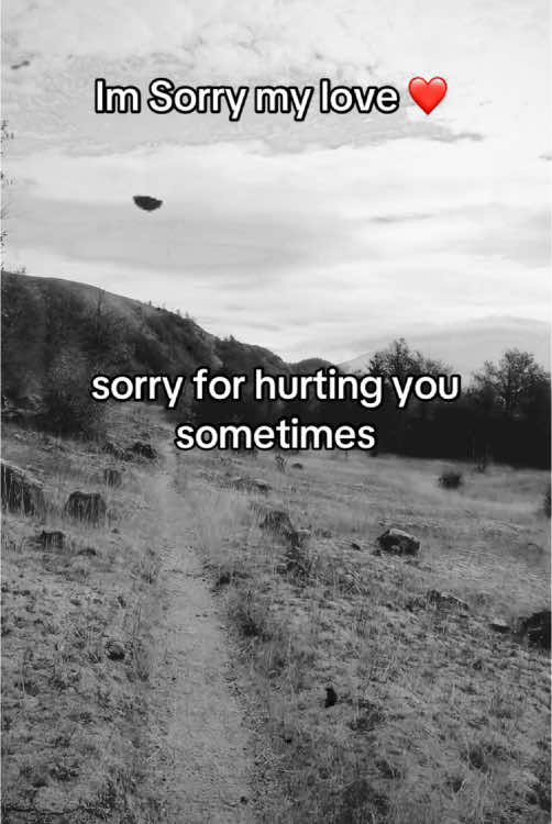 Im sorry my love ❤️ #couplequotes #lovequotes #loveyou #imsorry #couple #hurt #onlyyou #iloveyou 