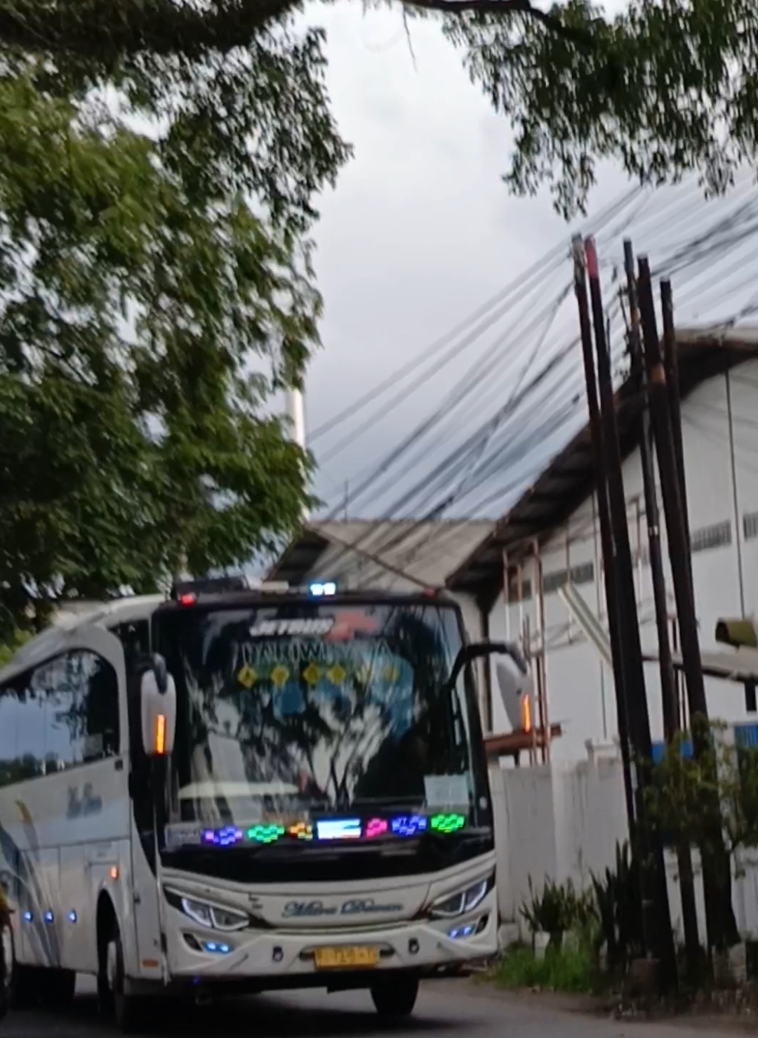 BASURI GOYANG SADBOR HOBAH HOBAH AWEUH AWEUH #basuri #bus #buspariwisata #mania #busmania #busmaniacommunity #basurisadbor #sadbor #fyp #xyzbca #foryou #fy 