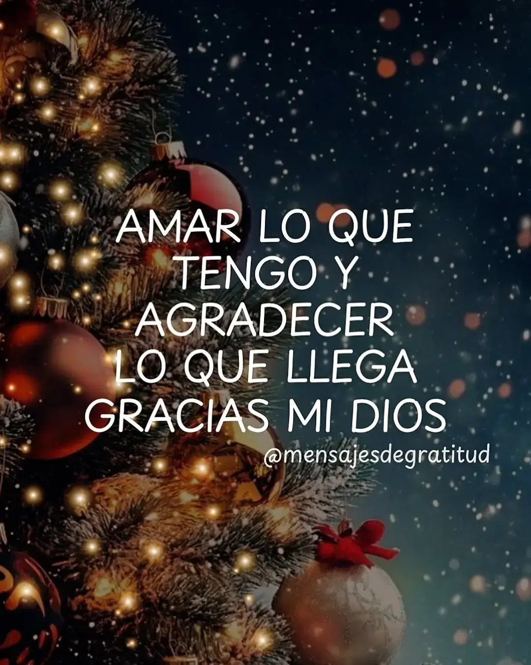 #feliznavidad🎄 #diosconmigo #1dialavez🌻 #modogratitud 