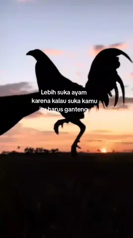 iya to?!
