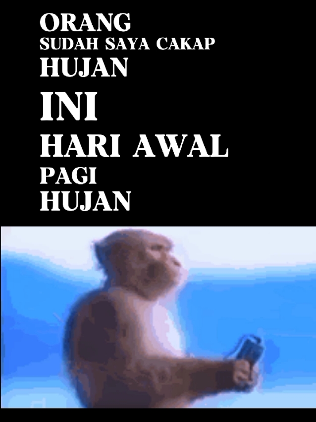 datang mengomen saja kawan #fyp #saleemardilla #hujan #meme 