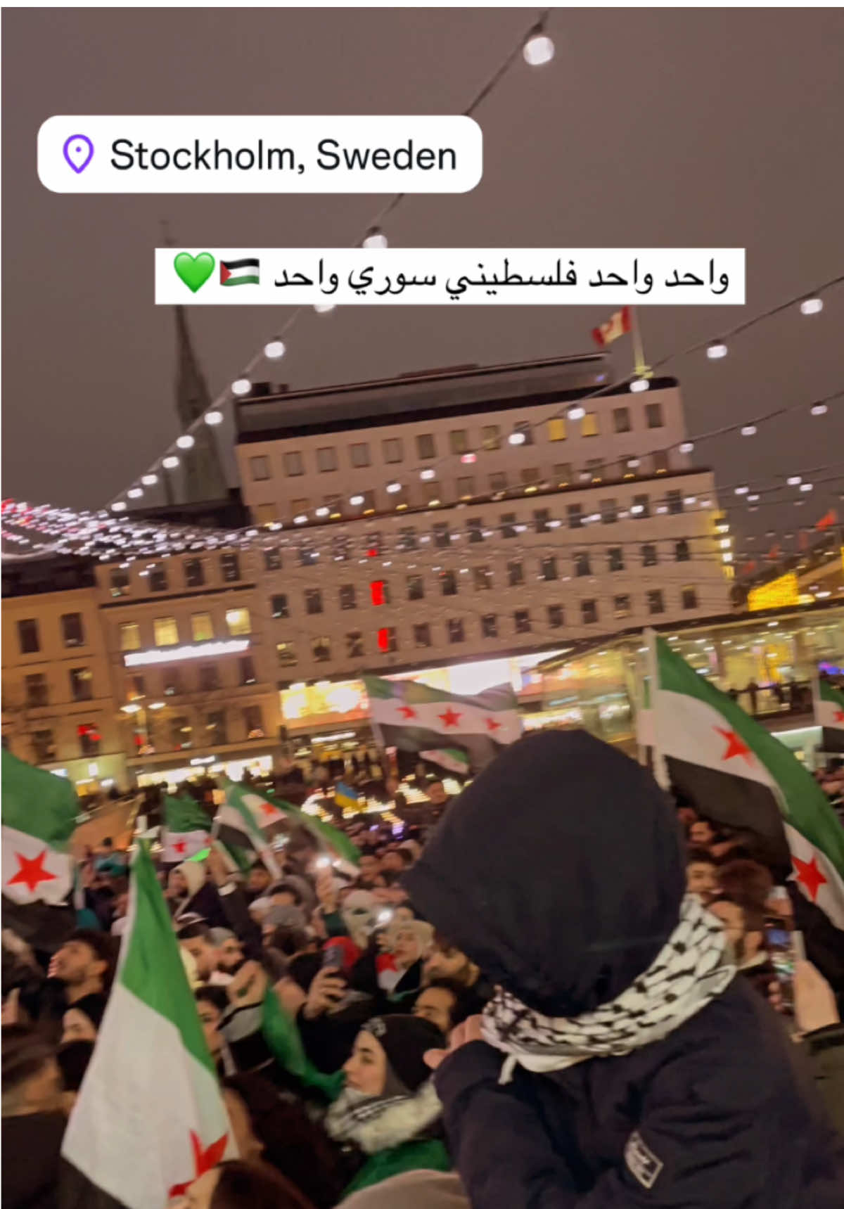 ✌️💚🇵🇸 