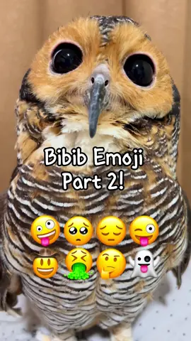 Emoji apalagi ya?!🤪 komen dong!! #videolucu #bibibfamily 