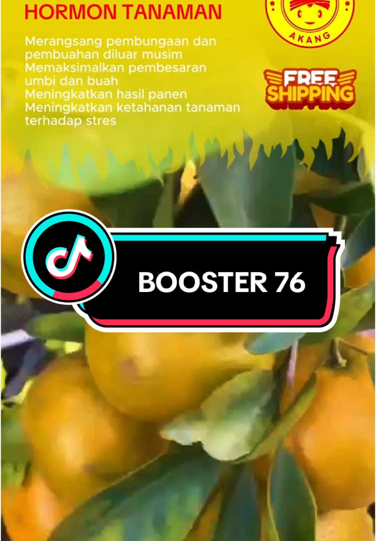 bingung tanaman kamu ga berbuah?, coba pakai booster 76 ini deh #gofarmnature #booster76 #pupuk 