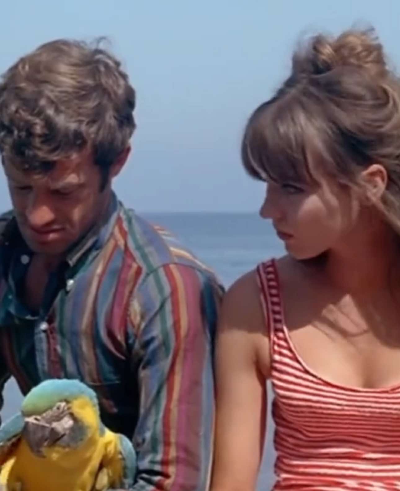 i miss her everyday #annakarina #pierrotlefou #unefemmeestunefemme #vivresavie #jeanlucgodard 