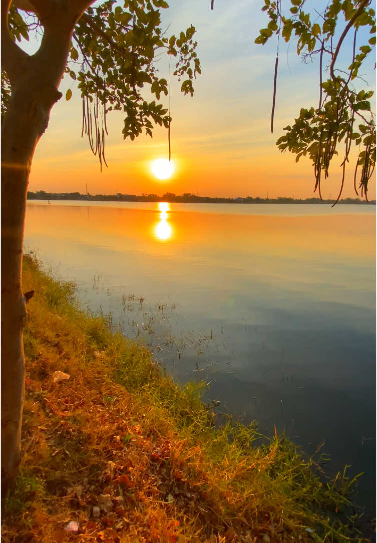 #ท้องฟ้า⛅🌈 #วิวบ้านนอก🍃 #ธรรมชาติบําบัด #สตอรี่_ความรู้สึก😔🖤🥀 #typ #เธรด #ขึ้นฟีดเถอะ 