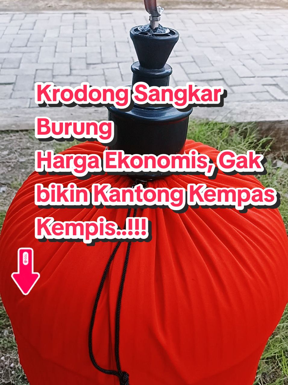 krodong sangkar lovebird no 1 . tersedia juga krodong kotak. murai dan lain nya. #kerongdongsangkarburung #kerodonglovebird #krodonglovebrid #krodongsangkar #kerodongmurai #kerodongburung #krodongburung #kerodongsangkarmurah #wibgajian #yearandsale #promoguncang11 #gilagilajualan #cuantanpabatas #kicaumania #kicaumaniaindonesia 