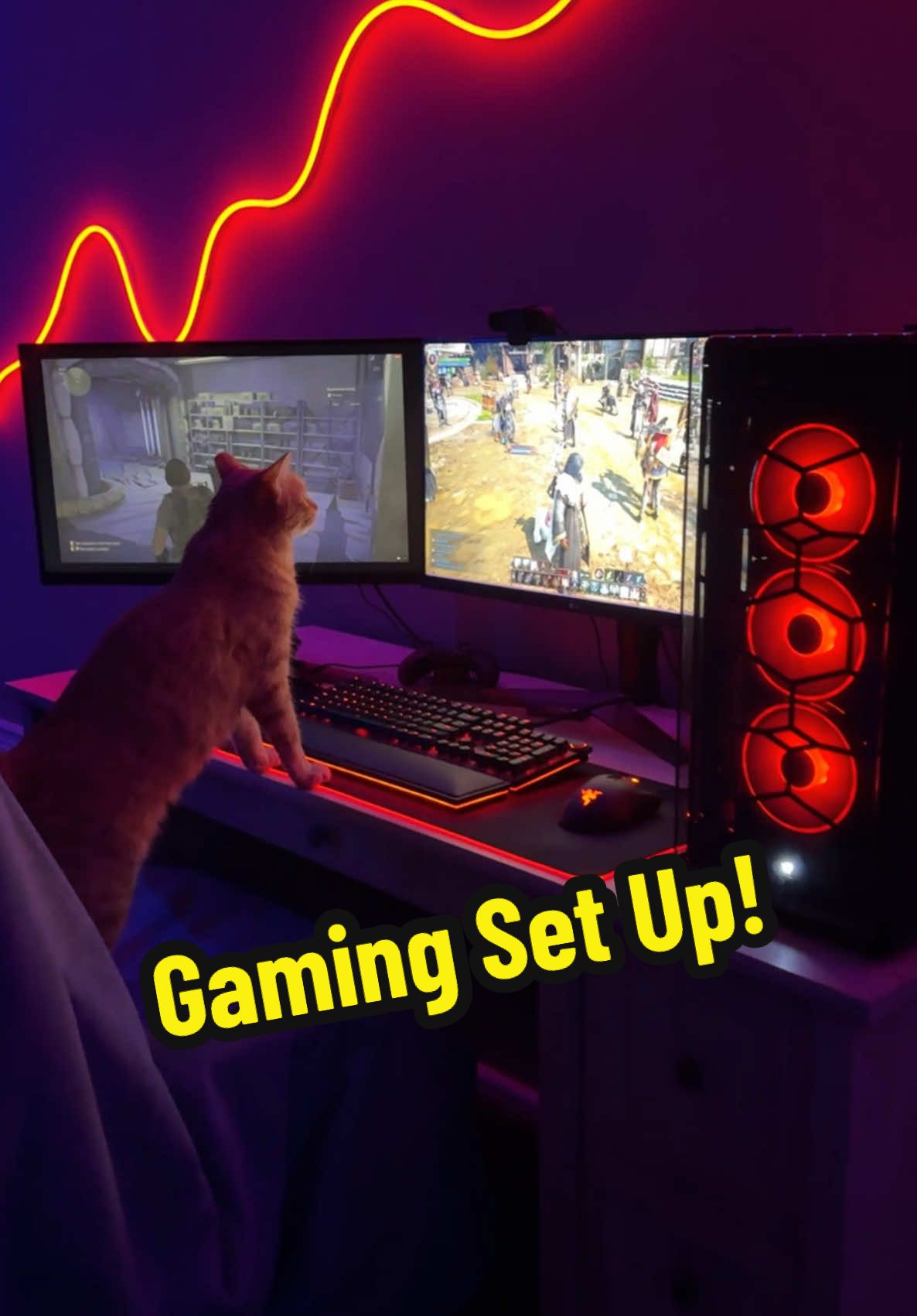 Ginger flexing with her gaming setup #cat #catsoftiktok #gaming #pc #game #videogames #friday #foryou #fyp #viral #funny 