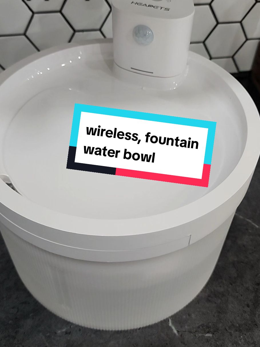 Now this thing is super cool.  @Heapets Official  #ad #heapetswaterfountaintiktokshop #heapets #dogtok #dogbowl 