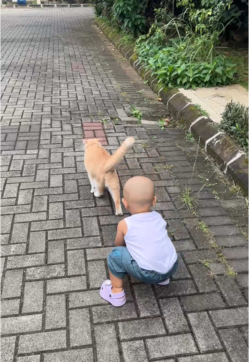 Lagi asik main mala aduh mekanik😭 kasian botak ditinggalin 