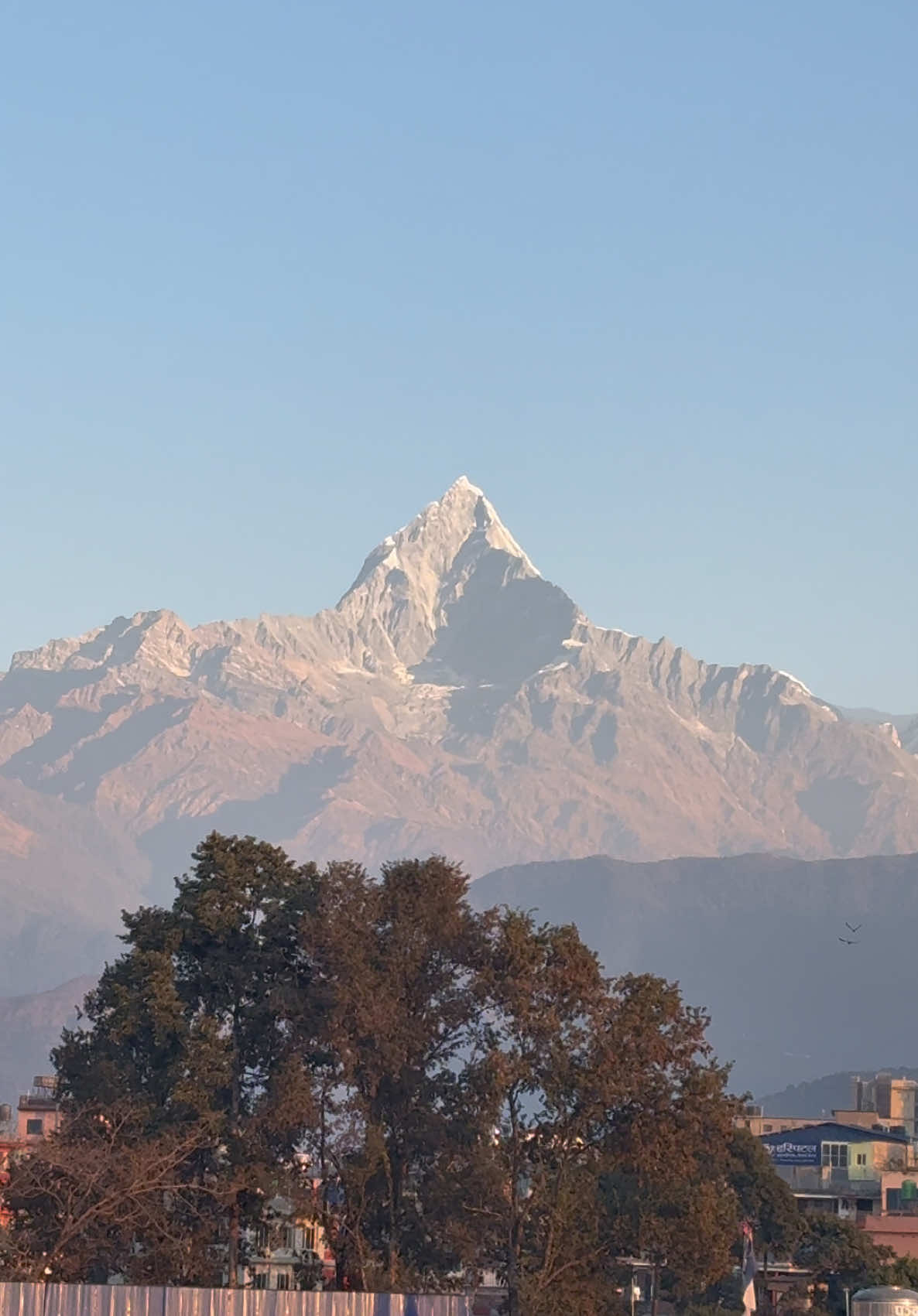 Machhapuchhre loosing it’s beauty day by day🥹                                         #machhapuchhre #pokhara #mountain #beauty #fyp #foryou 