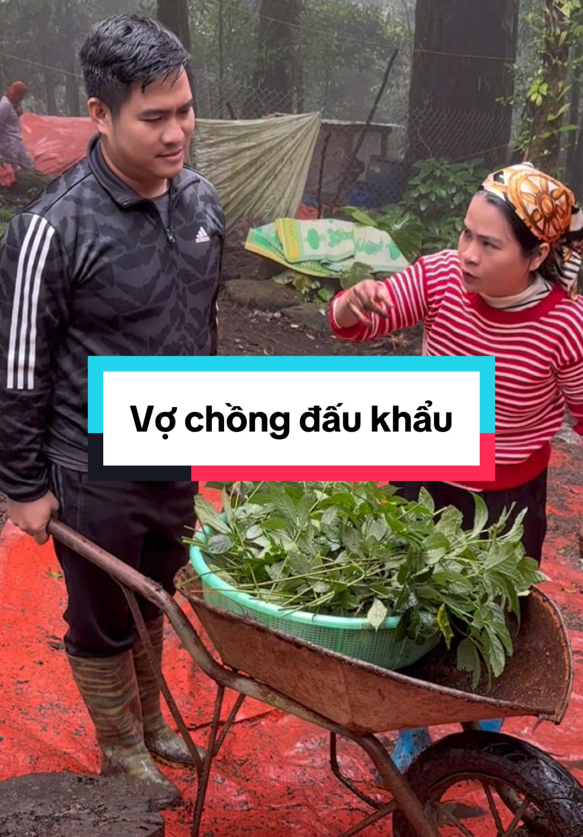 Vợ chồng đấu khẩu @Nguyễn Đức Toàn #danbuixunau #tiktokgiaitri #xuhuong 