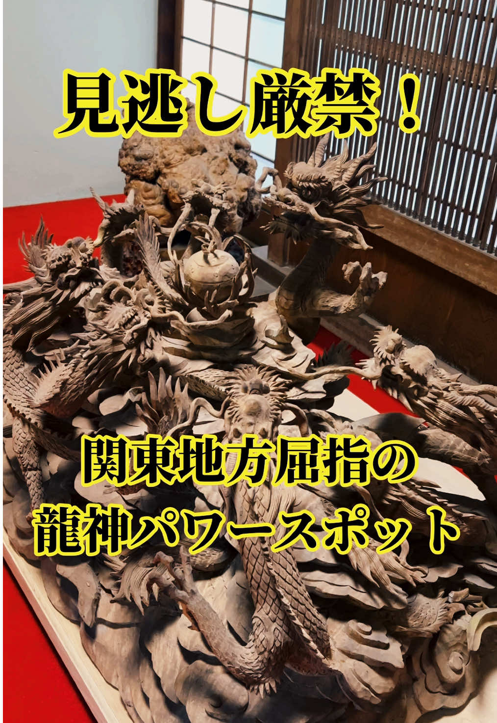 ⚠️見逃し厳禁⚠️関東地方屈指の龍神パワースポットを遠隔参拝すると昇龍の如く運気が上昇していきます🐉 東京都パワースポット巡り、今回皆さんに遠隔参拝していただくのは西東京市田無町に鎮座する田無神社です！ 田無神社は関東屈指の龍神パワースポットで、御祭神は尉殿大権現(ジョウドノダイゴンゲン)様と大国主命(オオクニヌシノミコト)様。 尉殿大権現とはシナツヒコ様とシナツヒメ様の事であり、龍田大社や皇大神宮の風日祈宮などでお祀りされている風の神様になります！ 田無神社では五行思想に基づいて金龍として祀られており、境内各所に黒龍・白龍・赤龍・青龍を配祀し、五龍神として信仰されています🐉 この動画で遠隔参拝する事によって、貴方に五龍神の絶大な御加護が降り注ぎます✨ #遠隔参拝 #パワースポット #神社巡り #東京都 #田無神社 #龍神様