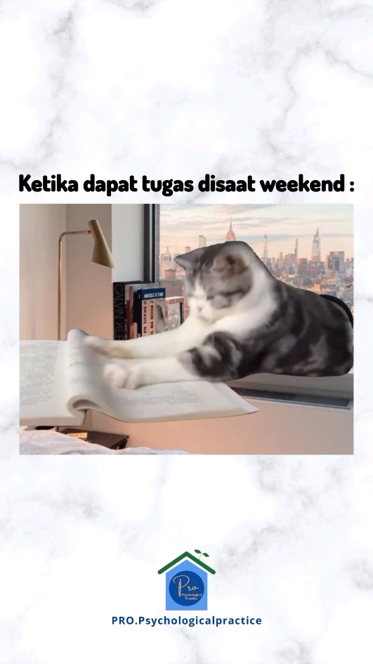 Weekend dipenuhi tugas, siapa yang relate nih? Yuk, semangat dan tetap lakukan yang terbaik ✨ ___________________ Cr : @miau.miau0128  #weekend #akhirpekan #task #working #tugas #kerjaan #deadline #cat #cutecat #funnycat #stresscat #relate #relatable #hilarious #hilariousmemes #funny #funnymeme #catmeme #meme #memes #pov #fyp #foryou #viral 