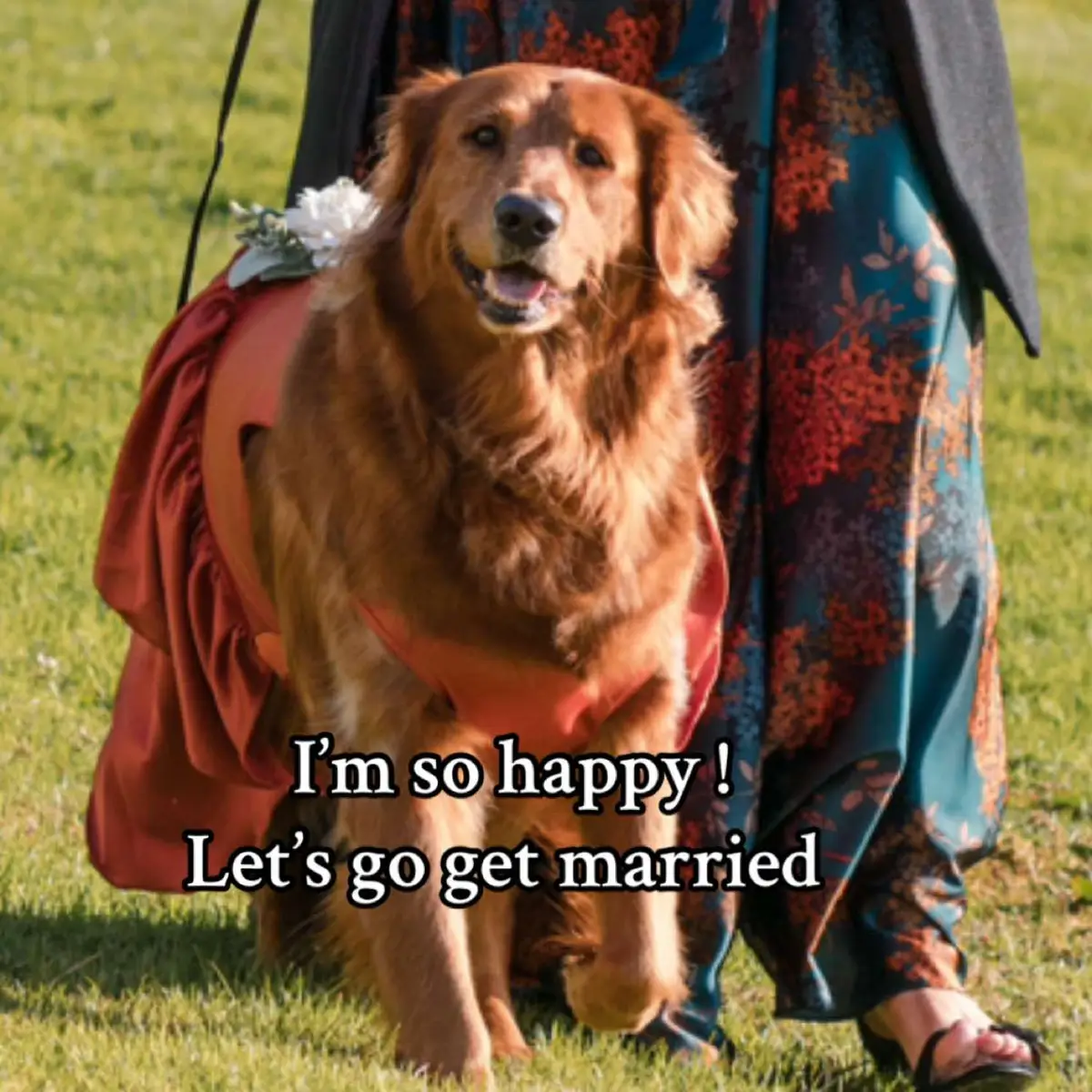 Riley is thr heart of our family so my daughter had her as her flower girl 🤍 i love the expressions on her face as  of walking down the path together ❤️. #dogsoftiktok #goldenretriever #goldenretriever #wedding #DogWedding 