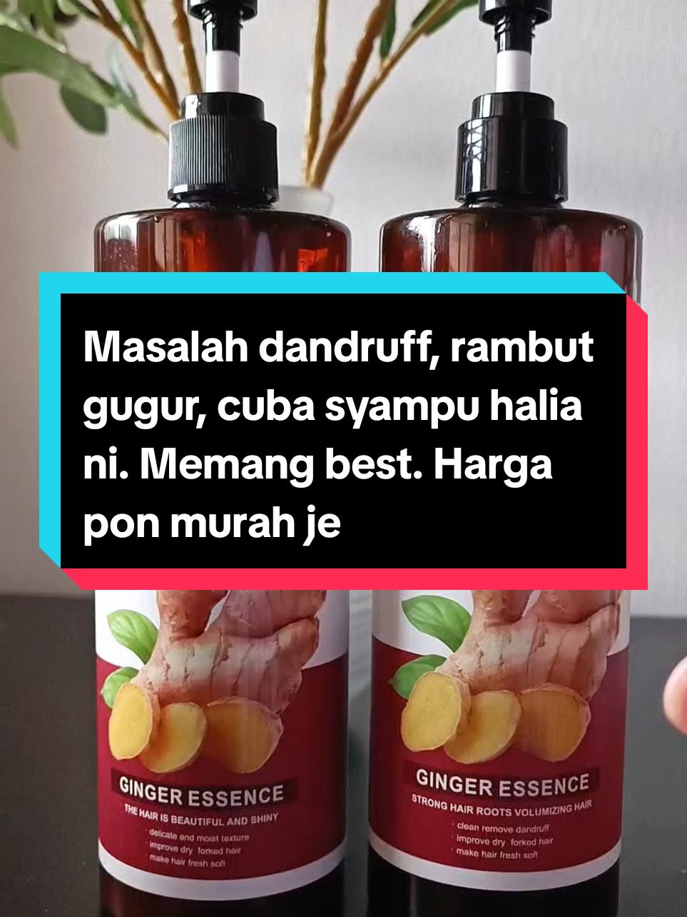 Rambut gugur banyak, kelemumur? kulit kepala gatal? Jom cuba set syampu ni.  #syampuhalia #shampooginger #kelemumur #dandruff #hairfall 
