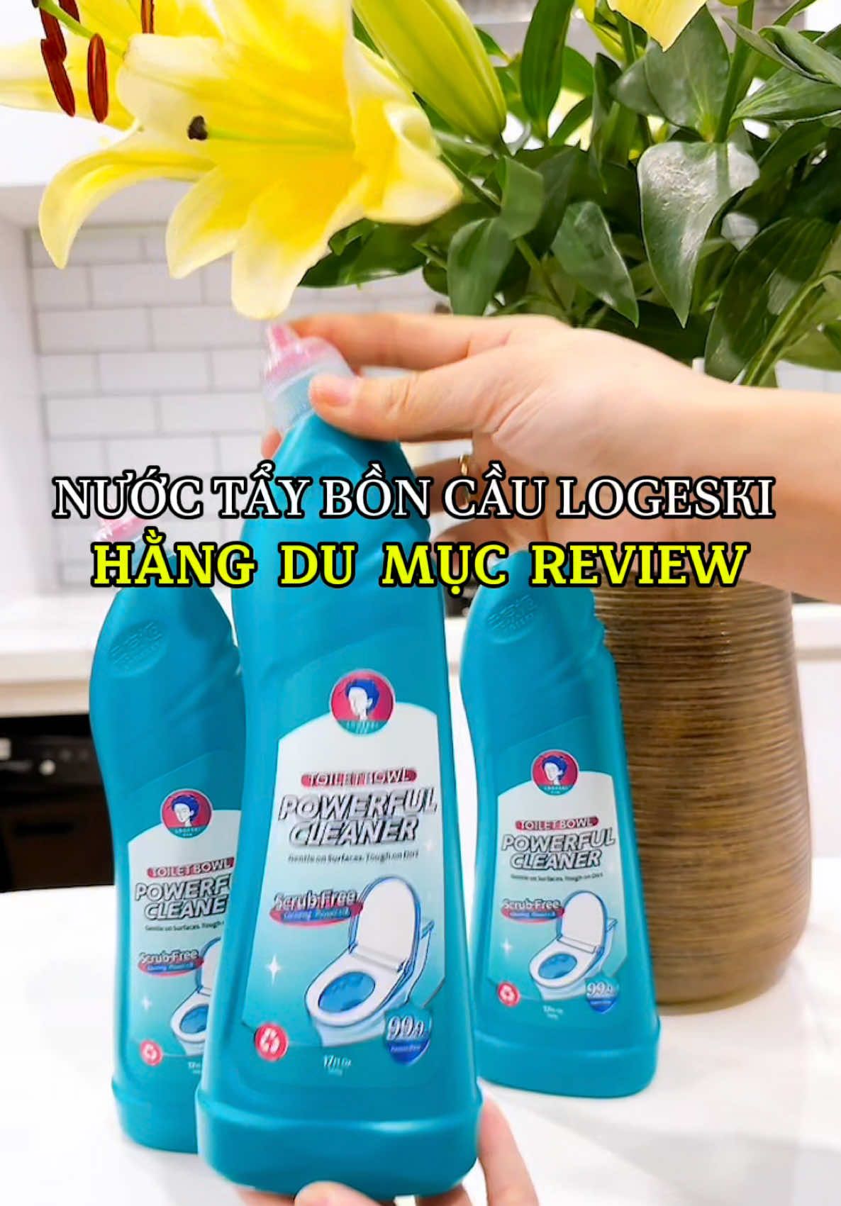 Nước tẩy rửa bồn cầu Hằng Du Mục review #logeski #giadinhduahau #nuoctayboncau #hangdumucreview #nhacuadoisong #donnhadontet 