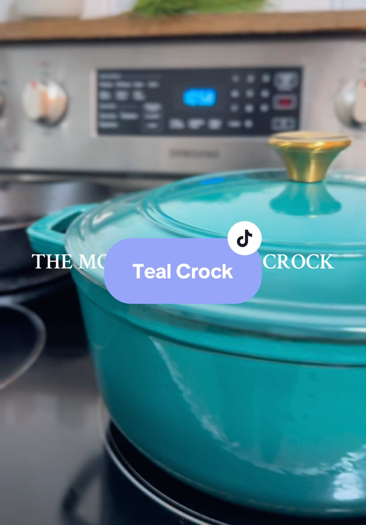 The little gold handle?? So cute! But shes not just looks, this gal is a work horse! Excited for all the meals and memories centered aroudn this crock🤍 #dutchoven #dutchoventok #crockpot #crockpotcooking #KitchenHacks #kitchenmusthaves #kitchenaesthetic #mueller 