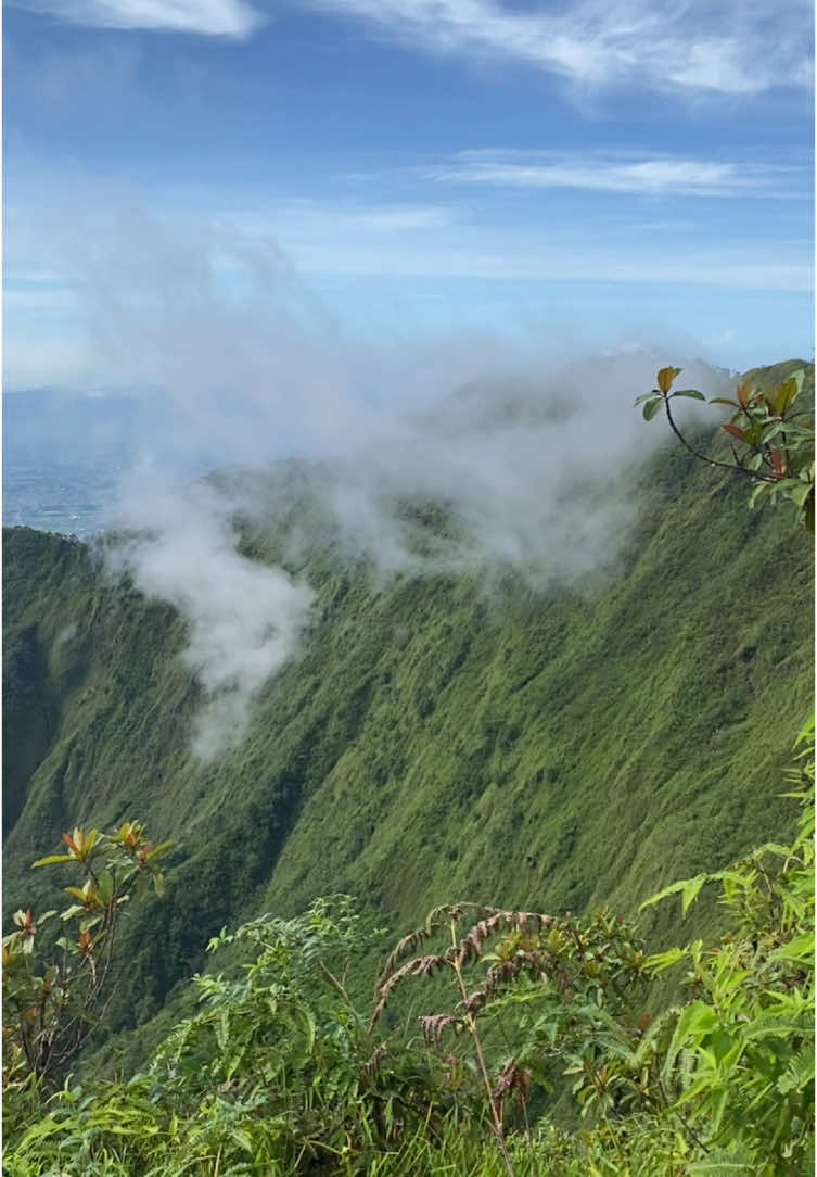 Pesona gunung bismo di bulan Desember✨